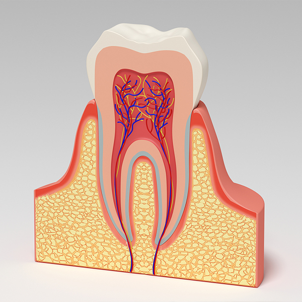 南浦和の小児歯科治療