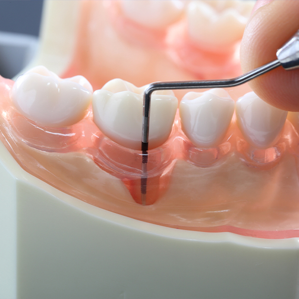 南浦和の口腔管理体制強化