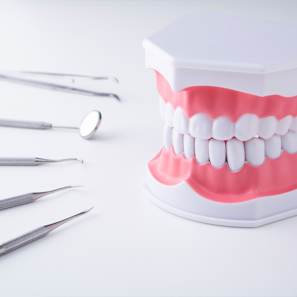 南浦和の口腔管理体制強化