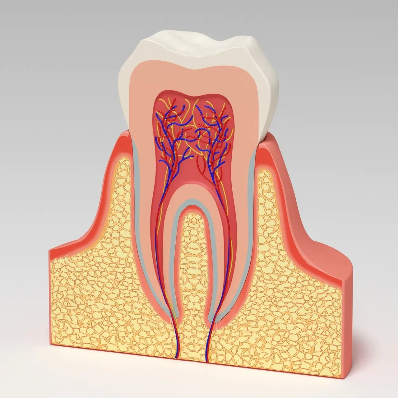 南浦和の虫歯治療